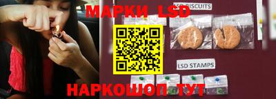 spice Рыбинск