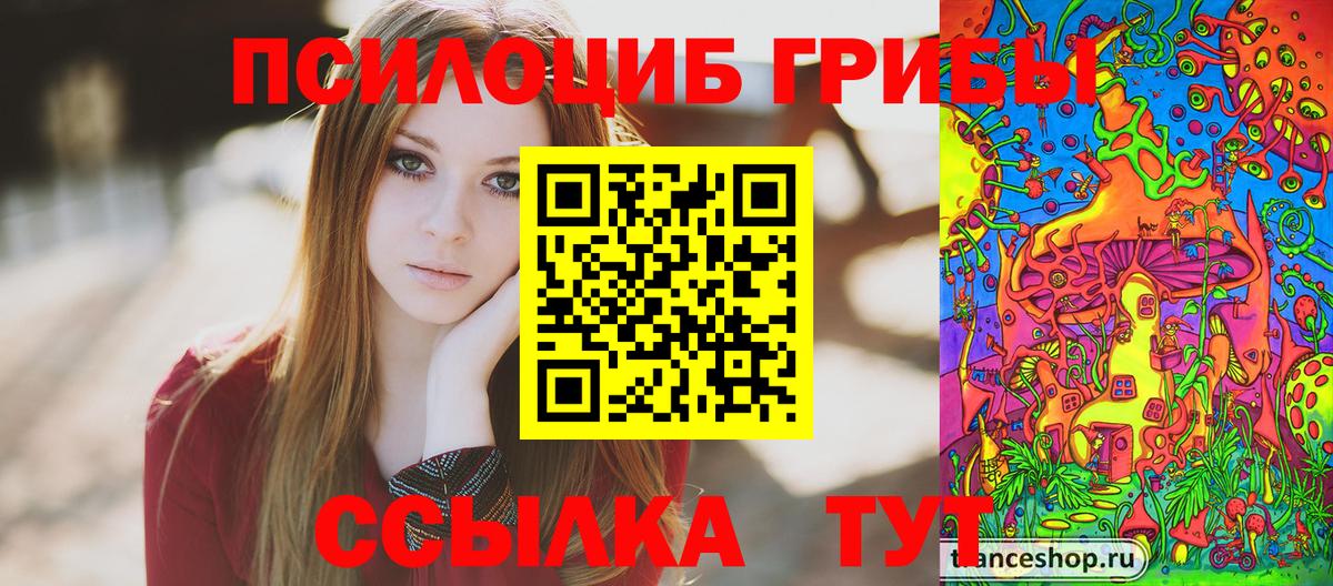 Рузаевка  Псилоцибиновые грибы MAGIC MUSHROOMS  Вход с VPN 